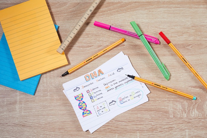 Actual product image STABILO point 88 Fineliner (Umber, 1 x)