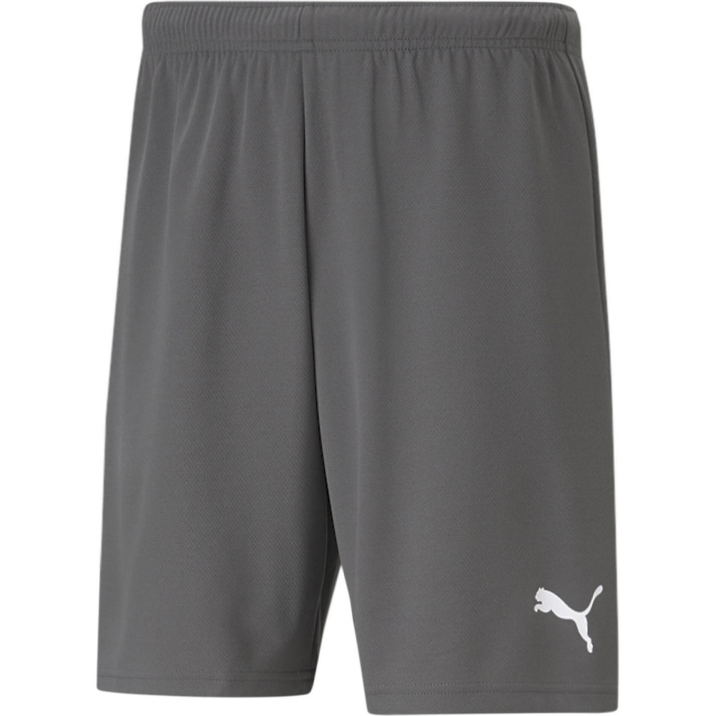Thumbnail - Puma, Herren, Sporthose, TeamRise (XL), Blau, XL