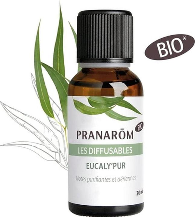 Pranarom Organisches Eukalyptus Reinigungsmittel (30 ml)