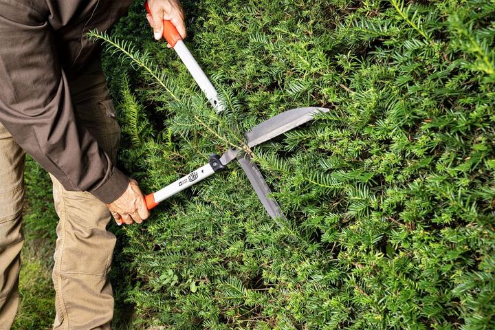 Actual product image Felco 250-63