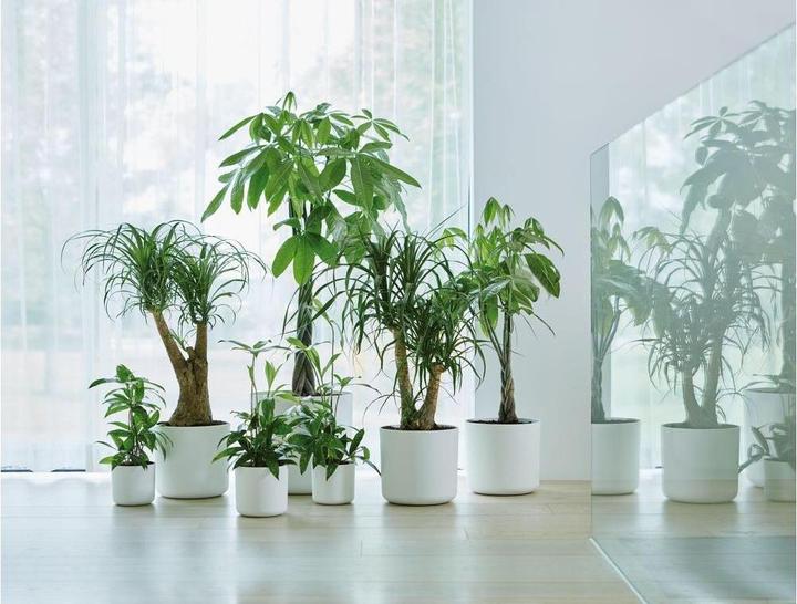 Image du produit Elho B.for Soft Ronde (22 x 20.40 cm)