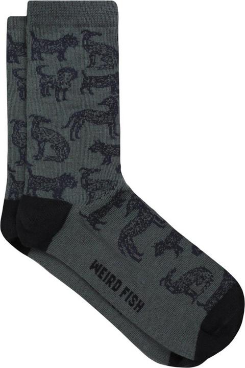 Actual product image Weird Fish Womens/Ladies Parade Patterned Socks (Pack of 3) (pack of 3, 37 - 40.5)
