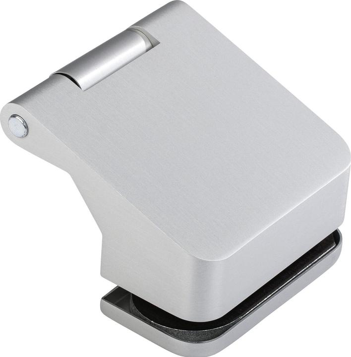Actual product image Dormakaba Glass door hinge Junior Office