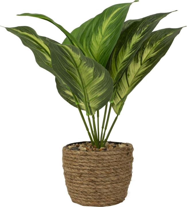 IKO Green plant (30 cm)