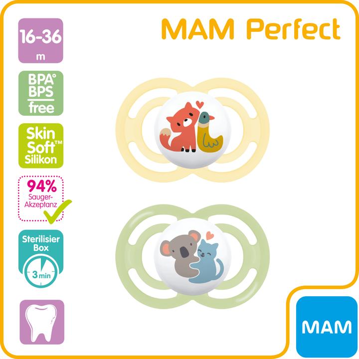 Actual product image MAM Perfect Nuggi Silikon 16-36 Monate (2 x, 16 - 36 M.)