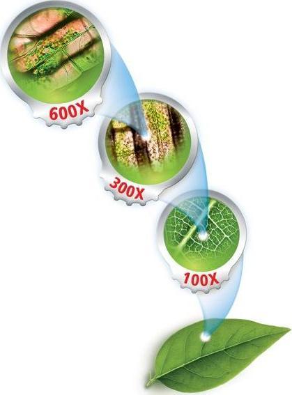 Actual product image Clementoni Nature under the microscope