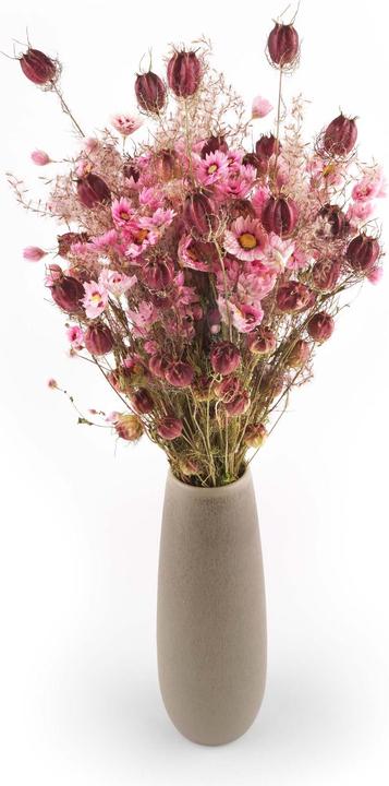 Produktbild Pur und Prima Lovely Joy (Trockenblumen, 1x)