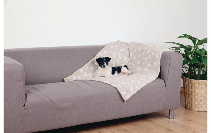 Image du produit Trixie Kenny (Chien)