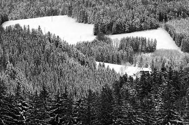 Produktbild Schwarz. Wald. Land (Deutsch, Burghard Müller-Dannhausen, Joseph Carlson, 2017)