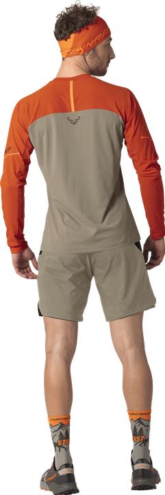 Produktbild Dynafit Alpine Pro Langarmshirt Herren (S)