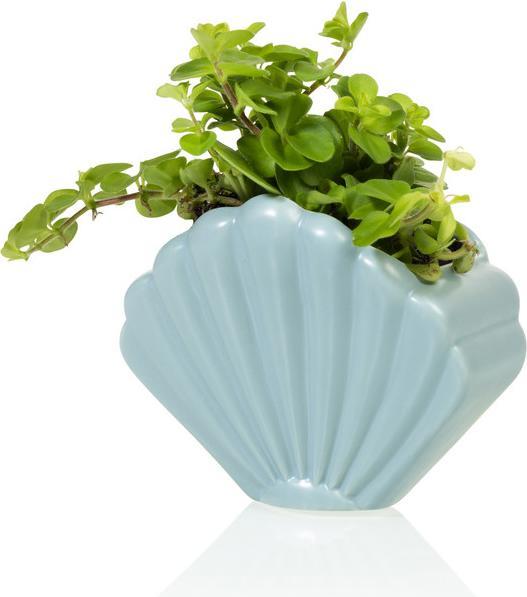 Produktbild Bitten Shell Planter Small (10.80 x 7 x 8.80 cm)