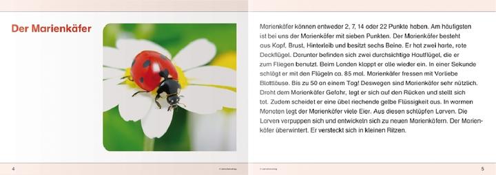 Produktbild Ich kenne Insekten und Spinnen - Schülerarbeitsheft für die 2. bis 4. Klasse (Deutsch, Katrin Langhans, 2012)