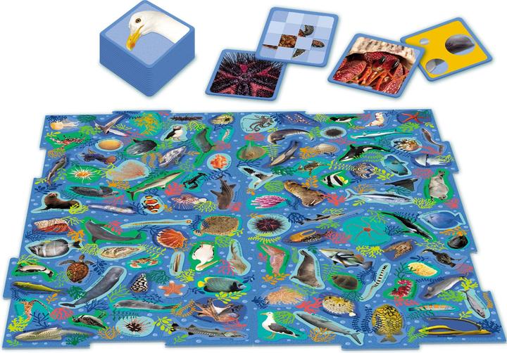 Produktbild Nathan 31316 (Französisch)