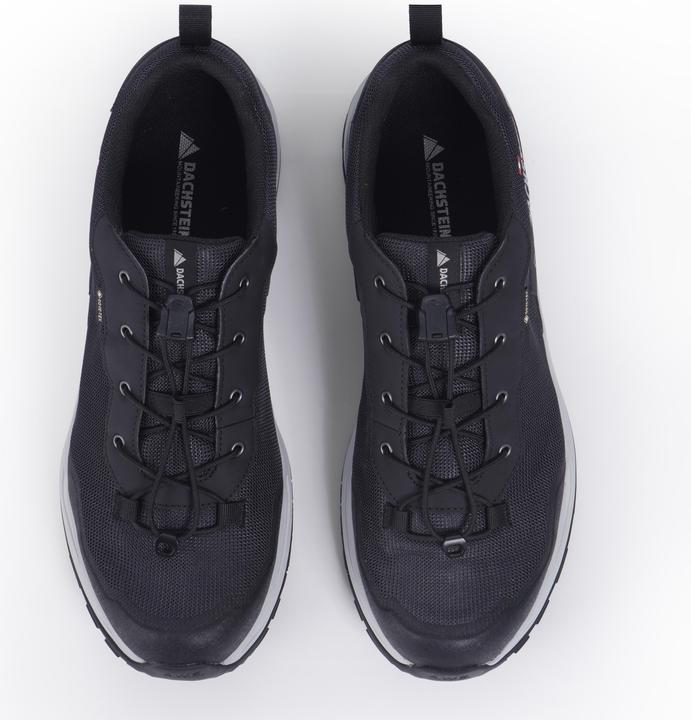 Actual product image Dachstein Delta Ascent GTX (43.5)