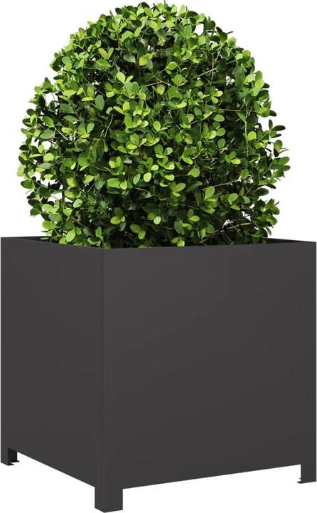 Immagine prodotto vidaXL Pflanzkübel