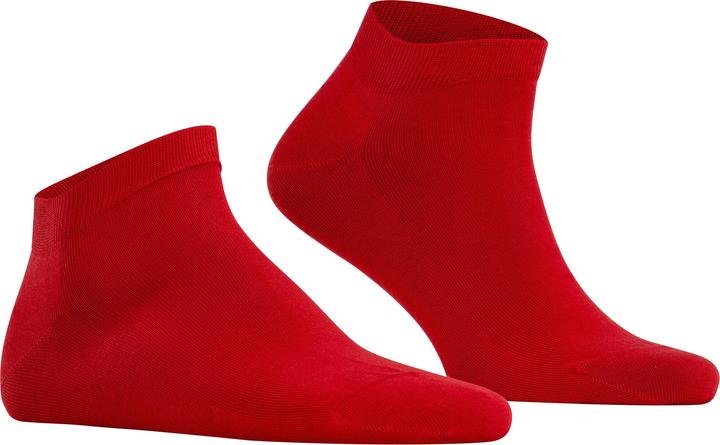 Produktbild Falke Cool 24/7 (Einzelpack, 39 - 40)