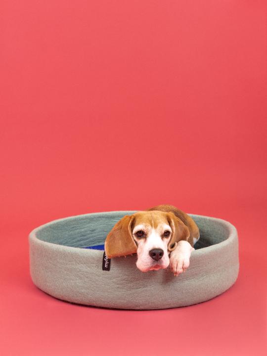 Produktbild Myfelt Fine (Hund)