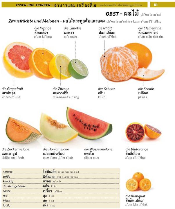 Produktbild Bildwörterbuch Thai (Deutsch, Thailändisch, 2022)