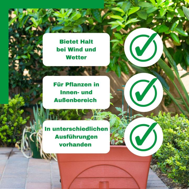 Actual product image Novatool 5 shrub supports semicircular green 70x40x15 cm 5,5mm Ø shrub holders flower holders tendril plants (70 cm, 5.50 cm)
