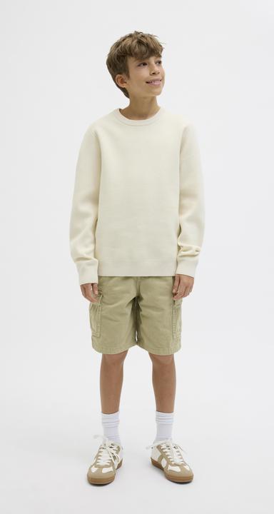 Image du produit Jack & Jones Loose Fit Loose Fit Shorts Junior Loose Fit Shorts (170)