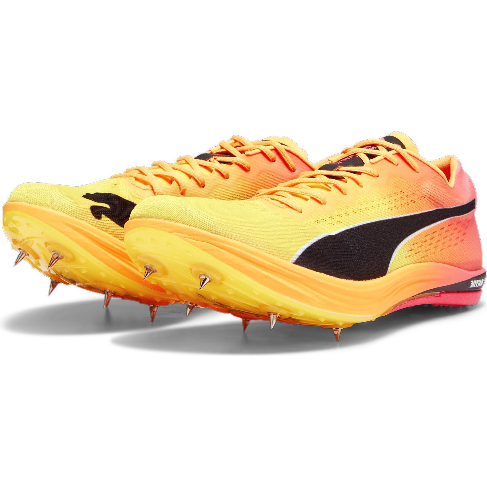 Puma, Unisex, Laufschuhe, evoSPEED Long Distance Nitro Elite+ (43), Orange