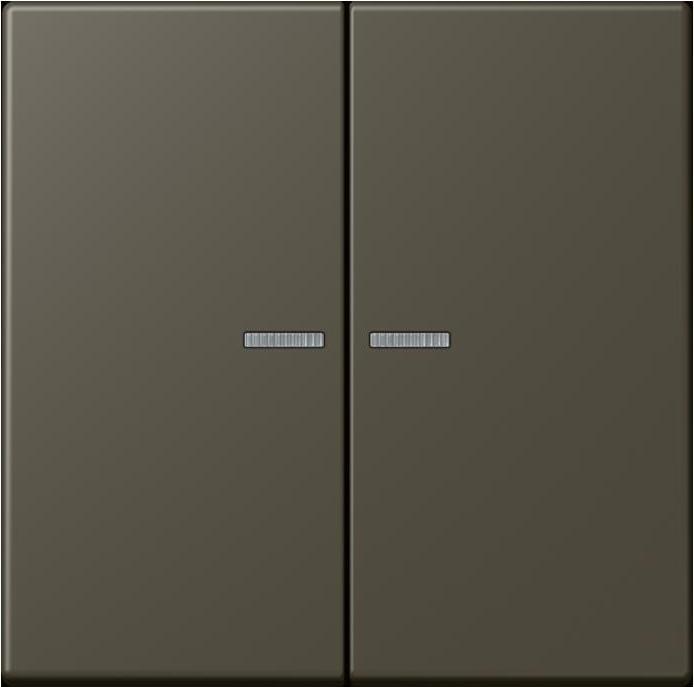 Produktbild JUNG Taster