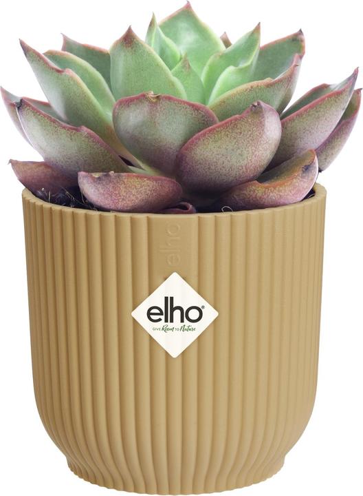 Produktbild Elho Blumenschale (7 cm)