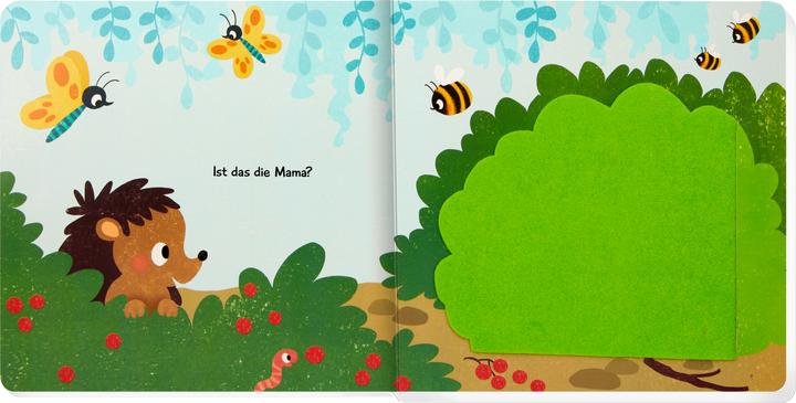 Actual product image Where's mummy, little hedgehog? (German)