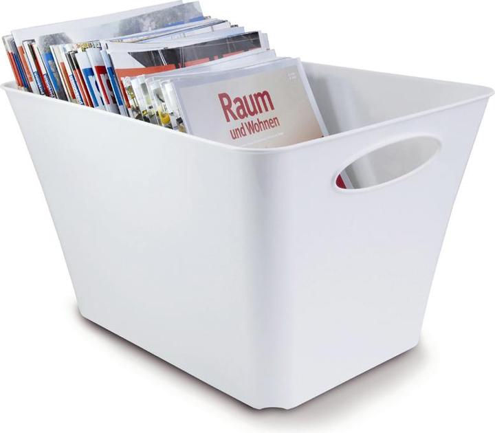 Actual product image Rotho Livingbox (32.10 cm, 24 l, 1x)