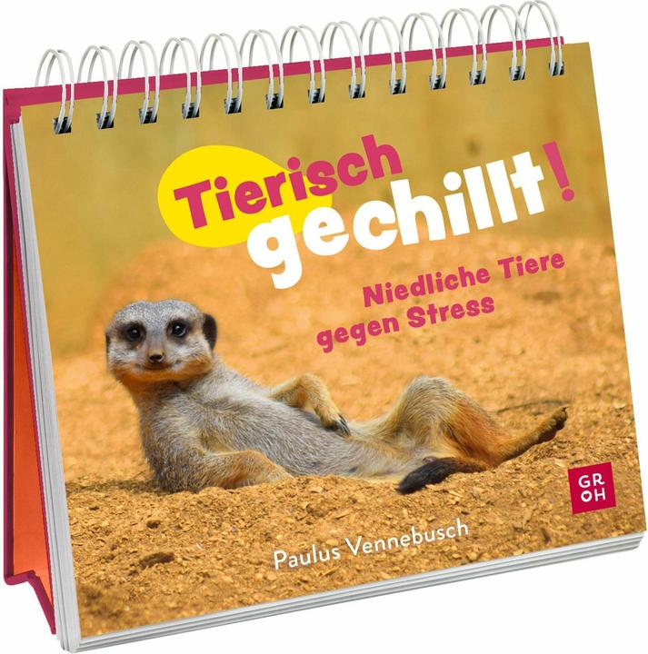 Produktbild Tierisch gechillt! (Deutsch, Paulus Vennebusch, 2024)