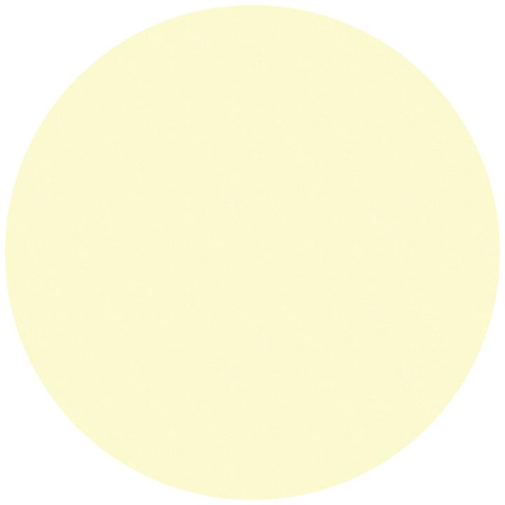 Immagine prodotto Moravia Punti di marcatura per pavimenti in alluminio, fotoluminescenti, Ø 50 mm