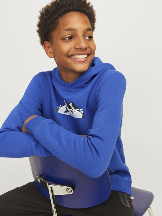 Actual product image Jack & Jones Jcomountain Logo Sweat Hood Sn Mni (122)
