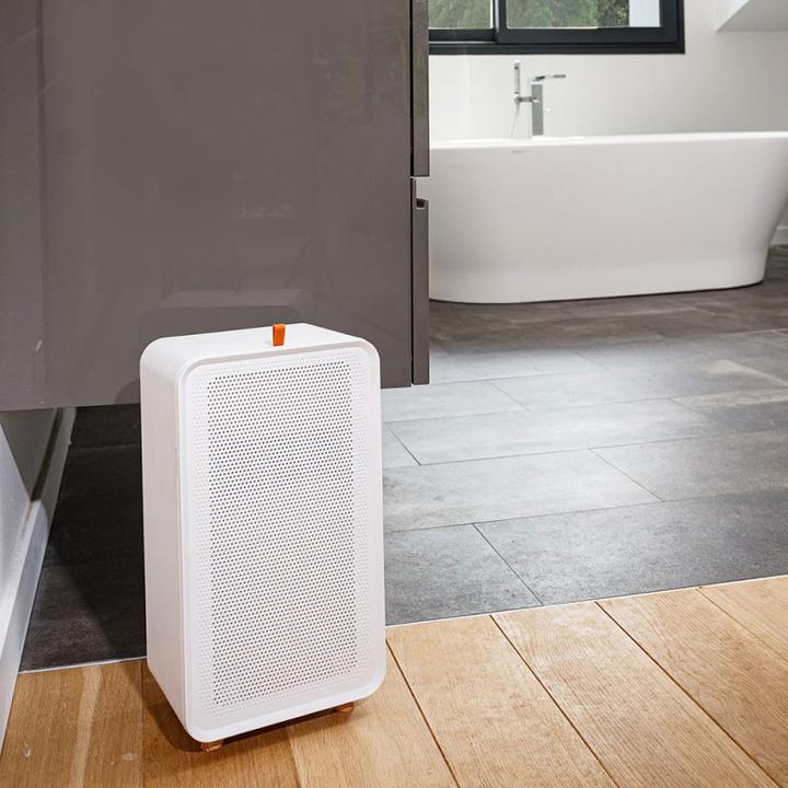 Actual product image Air Natural Oain dehumidifier White/Wood (20 m², 0.75 l/24h)