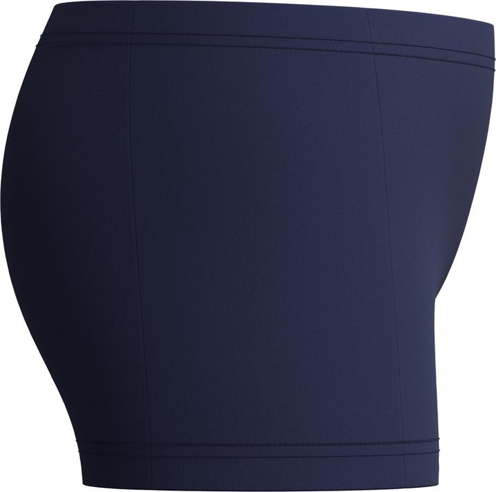 Actual product image Speedo Kid's Plastisol Placement Aquashort (140)