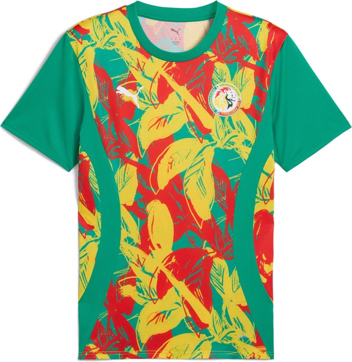 Produktbild Puma voranstosstrikot sénéga 2024 (L)
