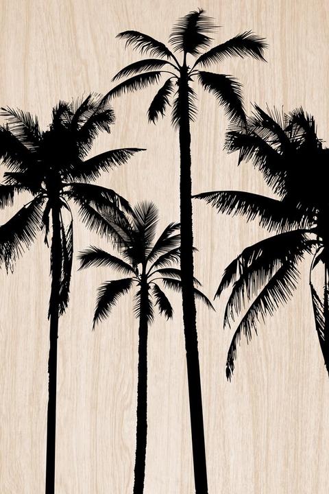 Produktbild C-Con Wood (40 x 60 cm)