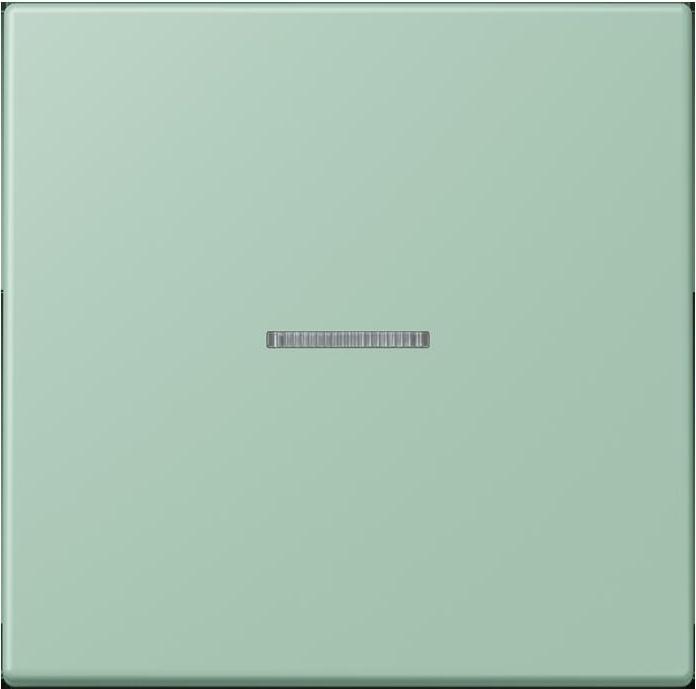 Produktbild JUNG Taster