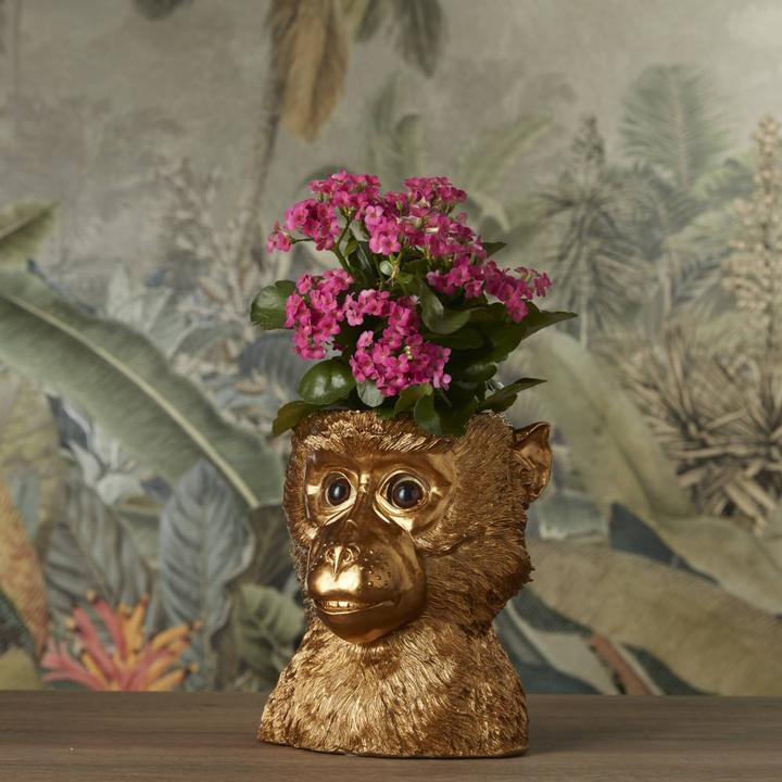 Produktbild Werner Voss Übertopf Affenkopf Bruce, gold Polyresin (20 cm)