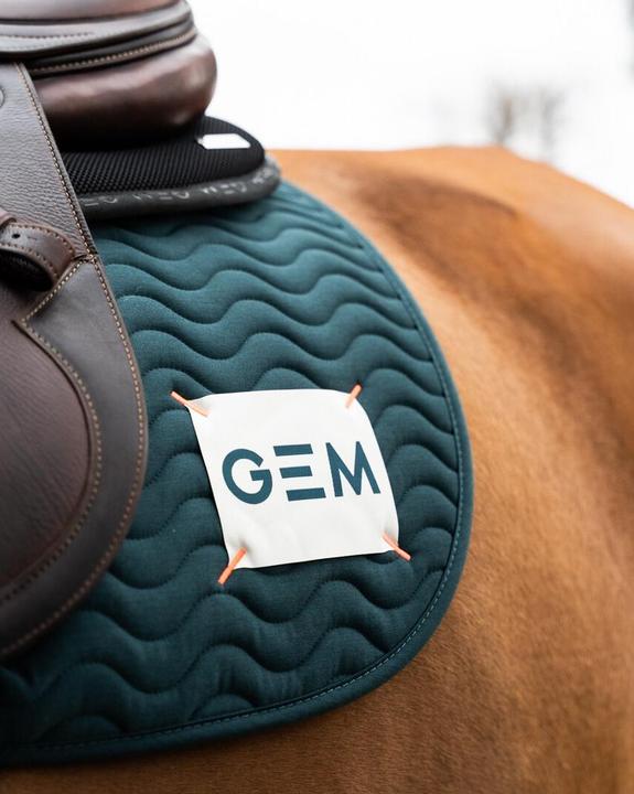 Actual product image GEM Touc Touc Obstacle
