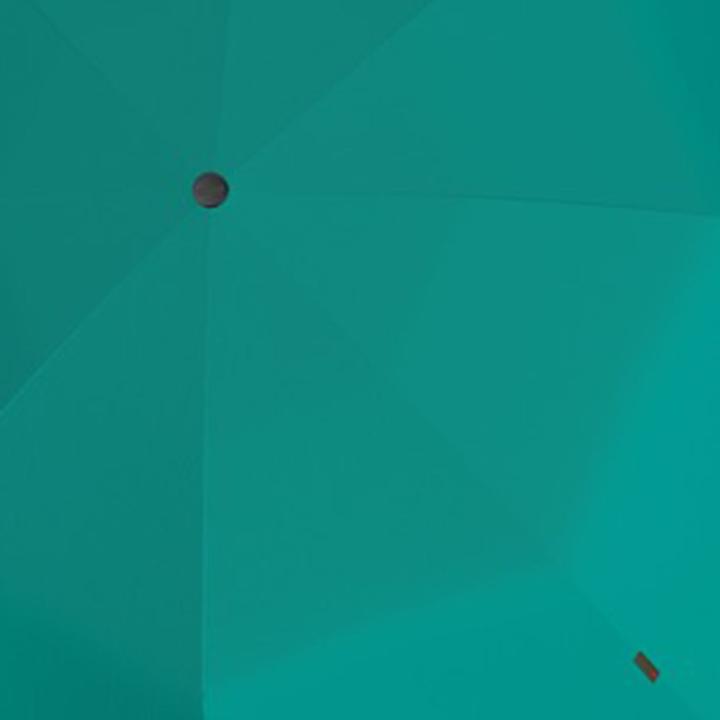 Produktbild Knirps Manual A.050 Taschenschirm 24 cm