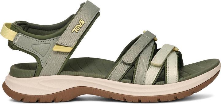 Seagrass Multi