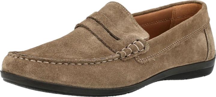 Grau/Braun, Taubengrau/Braun