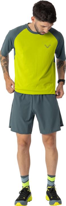 Produktbild Dynafit Alpine Shorts (L)