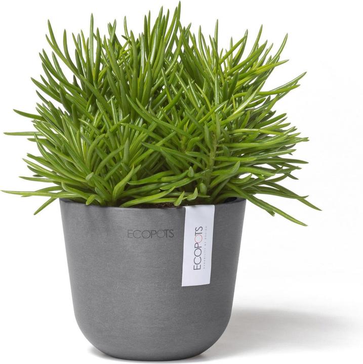 Immagine prodotto Ecopots Oslo Mini (11.50 cm)