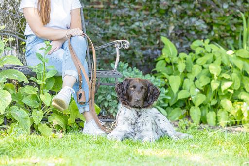 Actual product image Beeztees Bz Balacron Barf Bag Dispenser O (Dog)