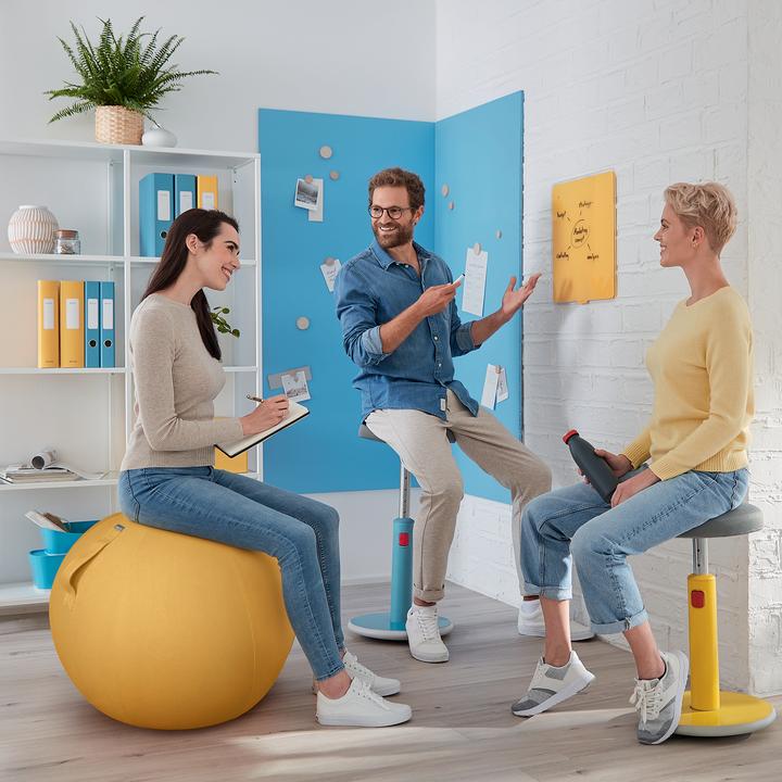 Actual product image Leitz Ergo Cosy Active sitting ball (65 cm)