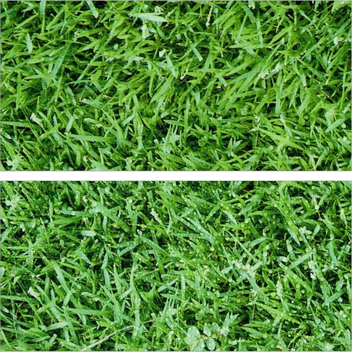 Actual product image Relaxdays 8x floor protection mat (1 cm)