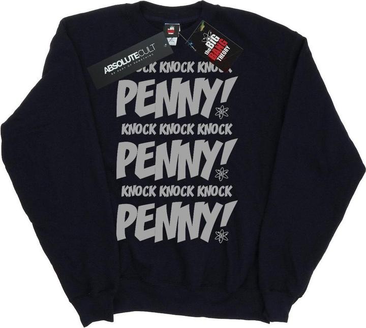 Actual product image Dam Boys Sheldon Knock Knock Penny Sweatshirt (140, 146)