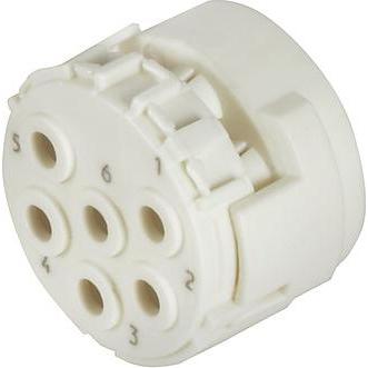 Weidmüller Contatto, Cavo + Spina elettrica