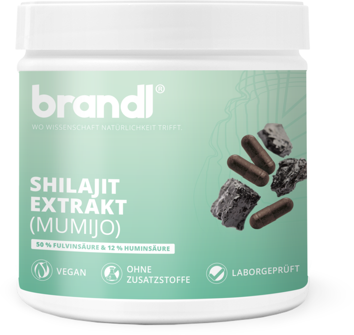 Produktbild Brandl Shilajit Extrakt (1 Stück, Kapseln, 80 g)